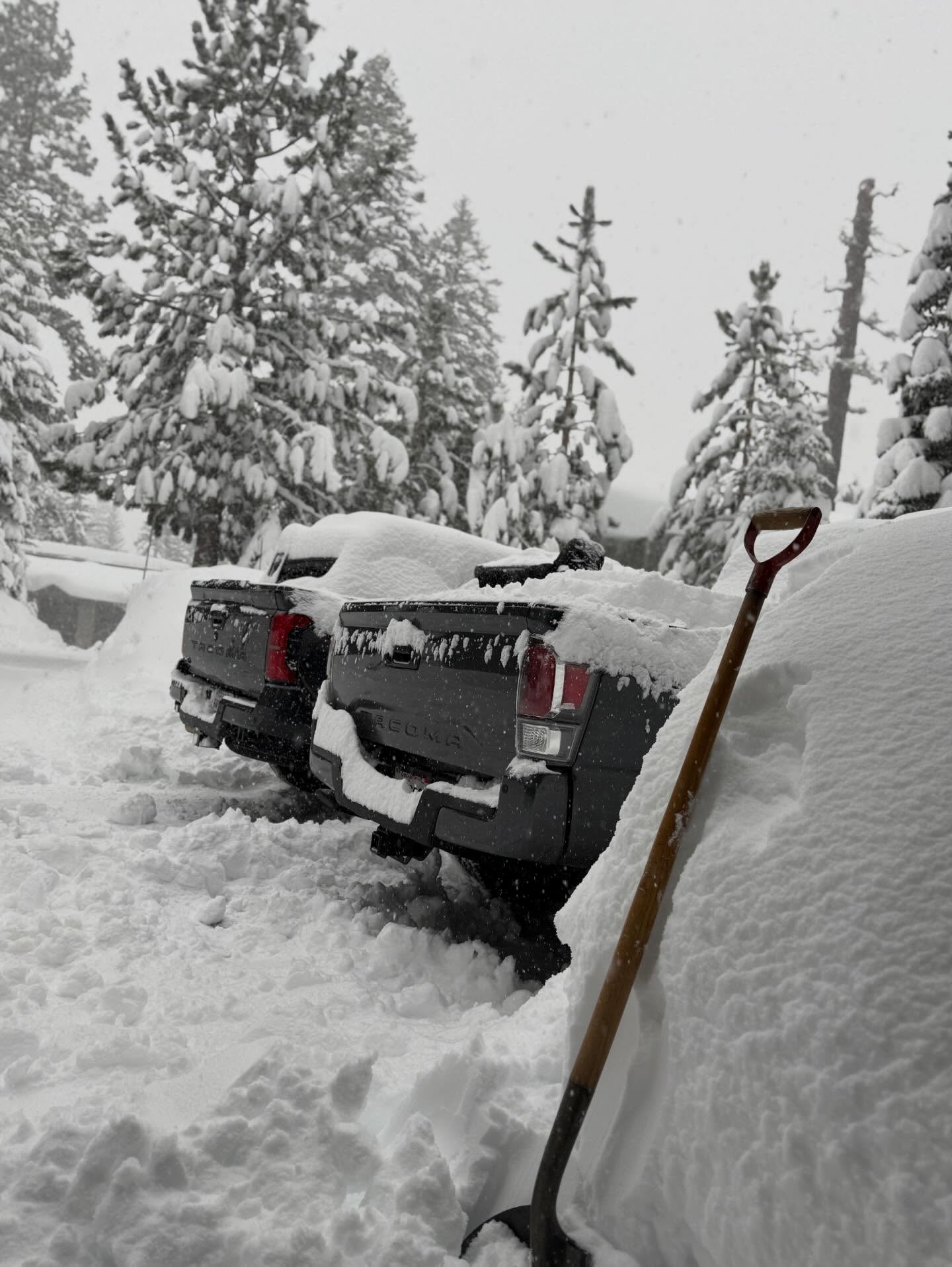 Snow 4